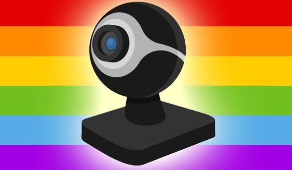 Why do gays love webcams so much?